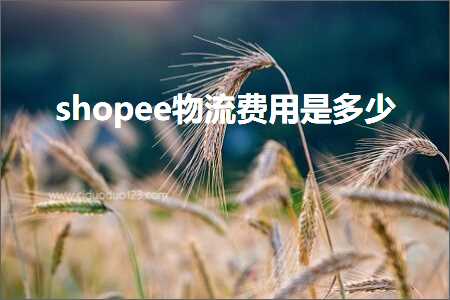 跨境电商知识:shopee物流费用是多少