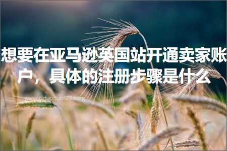 跨境电商知识:想要在亚马逊英国站开通卖家账户，具体的注册步骤是什么