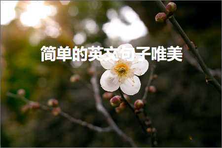 回忆随着花瓣唯美句子（文案111条）