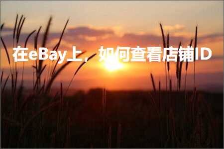 璺ㄥ鐢靛晢鐭ヨ瘑:鍦╡Bay涓婏紝濡備綍鏌ョ湅搴楅摵ID