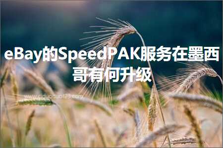 跨境电商知识:eBay的SpeedPAK服务在墨西哥有何升级