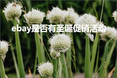 跨境电商知识:ebay是否有圣诞促销活动