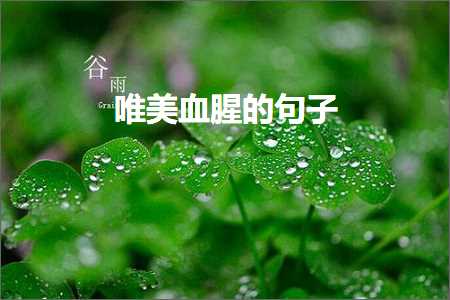 鍏充簬娴烽笩鐨勫敮缇庡彞瀛愶紙鏂囨735鏉★級